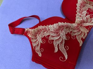 Red Bra with Embroidery