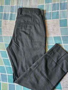 Turtle Black Formal Pant