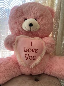 Pink Plush Teddy Bear