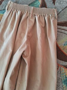 Beige Color Formal Or Casual Look Pants