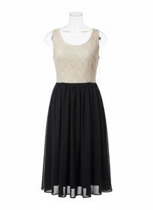 Elegant Lace Top Dress