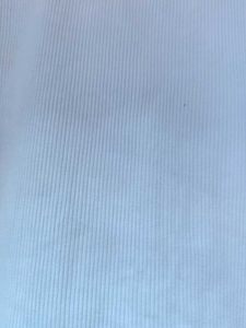 Ribbed Collared Short Sleeve Top