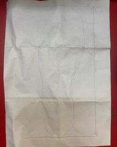 Nike Branded Men’s Shoe