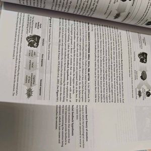 Psychology Sixth Edition Textbook