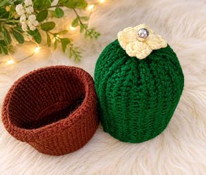 Cactus Pincushion with Pins