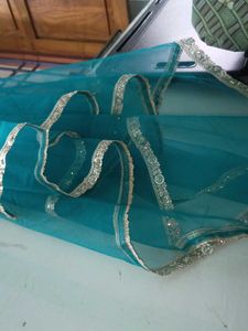 Beautiful Teal Dupatta with Embellished Border