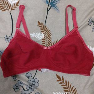 Red Daily Wear Bra