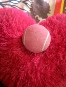 Leather Ball For Playing Cricket