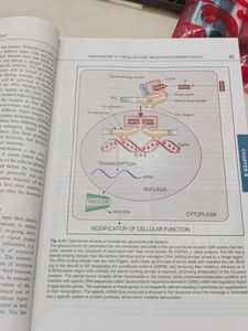 Essentials of Medical Pharmacology by KD Tripathi