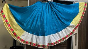 Beautiful Blue Ethnic Skirt
