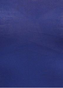 ✨Clovia Royal Blue Camisole✨