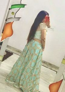 Elegant Lehenga Choli