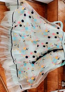 Beautiful Lehenga Choli