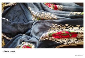 Elegant Embroidered Zariwork Saree