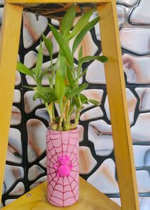 Hand-Painted Spiderweb Planter Pot without plant