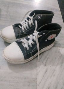 Converse dupe