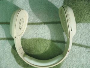 Zebronics Headphones
