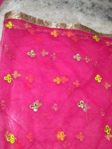 Pink Embroidered Dupatta set of 2