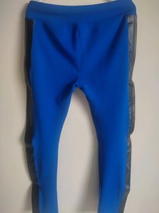 Royal Blue Trousers