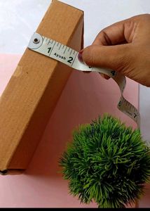 Packing Box
