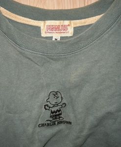Peanuts Charlie Brown Graphic T-Shirt