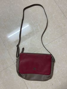 Original Baggit Bag