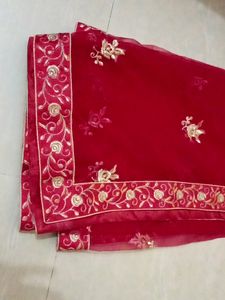 Gorgeous Woman Dupatta