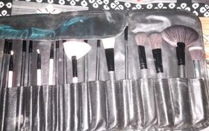 Professional Makeup Brush Set