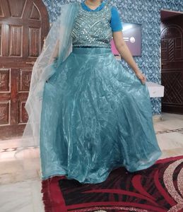 Elegant Crop top Lehnga