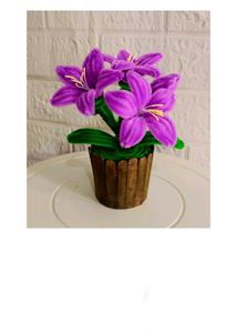 Beautiful Purple Lily Flower Mini Pot 🌸