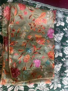 Beautiful Organza Dupatta
