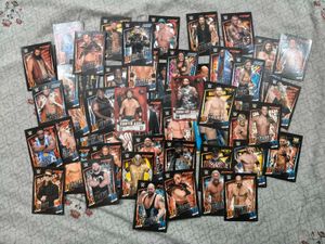 WWE Trading Cards Collection