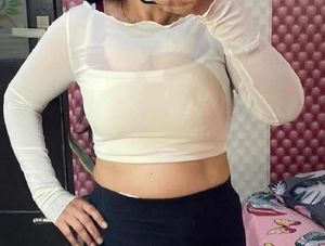 PADDED Sheer Long Sleeve Crop Top