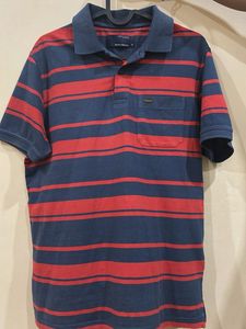 Peter England Striped Polo T-Shirt