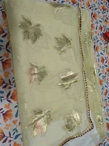 new organza saree with blouse