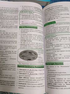 NEET Most Wanted Biology Book