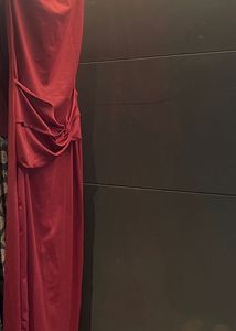 Elegant Red Evening Dress