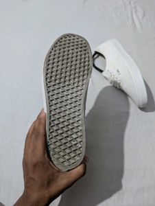 Vans White Sneakers