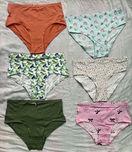 10 Pcs Clovia Hipster Panty