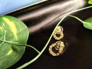 Stylish Snake Design Earrings