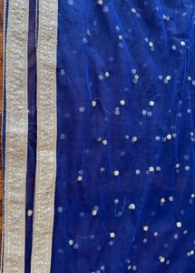 Blue Striped Lehenga with Embellished Border