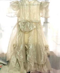 Elegant Dress