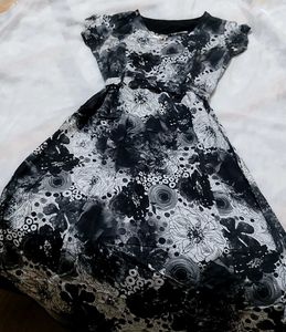 Elegant Women Dress