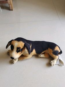 soft toy