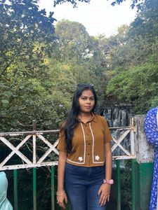 Stylish Brown Cropped Top