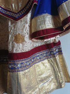 Gold Embellished Lehenga Choli Set