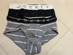 Jockey Striped Briefs Ny01