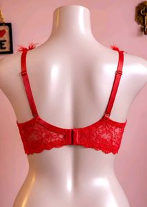 Red Lace Teddy with Fur Trim