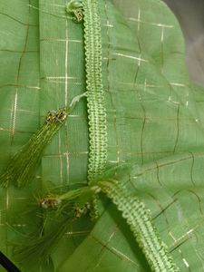 New Saree With Falls Pico Tag