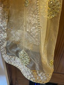 Embellished Net Dupatta